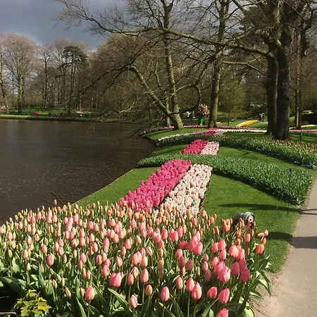 B&B Ineke En John 호프트도프