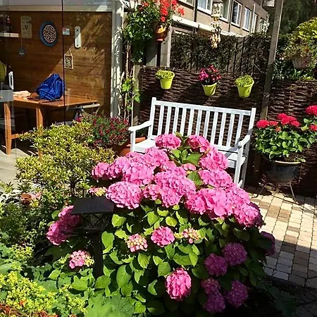 Ineke En John Bed & Breakfast *