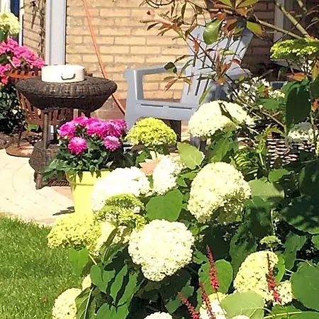 Ineke En John Bed & Breakfast Hoofddorp