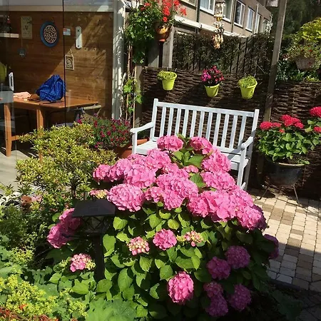 Ineke En John B&B 호프트도프
