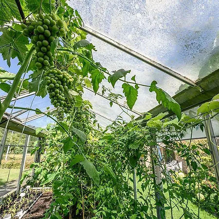 Alojamento de Acomodação e Pequeno-almoço Ineke En John Hoofddorp