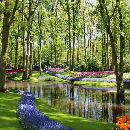 Ineke En John Bed & Breakfast